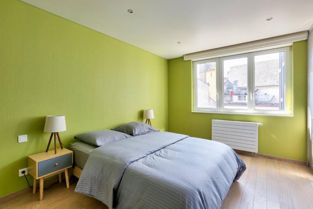 Appartement Spacieux Au Coeur De Страсбург Экстерьер фото